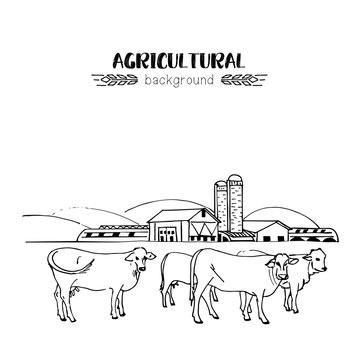 Vector sketch illustration of an agricultural farm, with agricultural hangars, silo tower, cows on pasture. Hand drawing in one line, isolated in black on white.