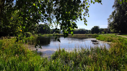 Perfect lake in the city park