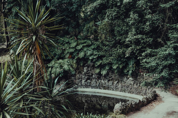 Obraz premium Lisbon garden