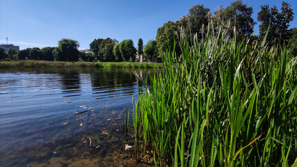 Perfect lake in the city park