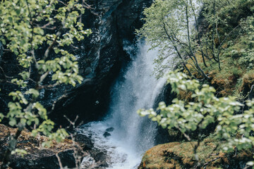 waterfall in the forest