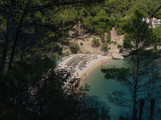 Portopiatto
