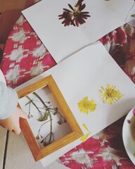 preparando cuadros con flores secas