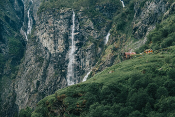 waterfall on the norwegian mountain