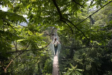 Fotobehang Rainforest Preserve, Kuala Lumpur, Maleisië © Paul