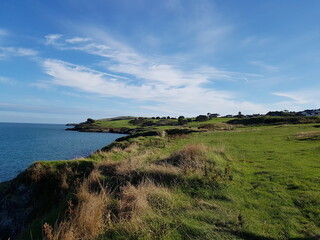 Irish sea shore and its green grass