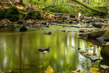 a small rapid river flows through dolomite rocks, long-term exposure, gentle and fuzzy river water, colorful autumn leaves and dry branches water