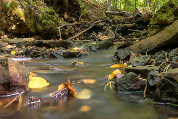 a small rapid river flows through dolomite rocks, long-term exposure, gentle and fuzzy river water, colorful autumn leaves and dry branches water