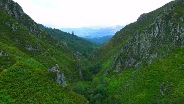 Interlocking spurs of a valley in Asturias, Spain, covered by rich green foliage with a sheer rocky outcrop on either side leading to a thin mountain bike trail outlining the mountain.