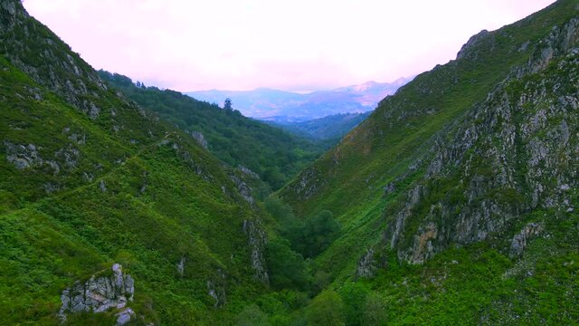 Deep V-shaped valley taken by a drone in Asturias, Spain, covered by rich green foliage with a sheer rocky outcrop on either side leading to a thin mountain bike trail with a purple sky.