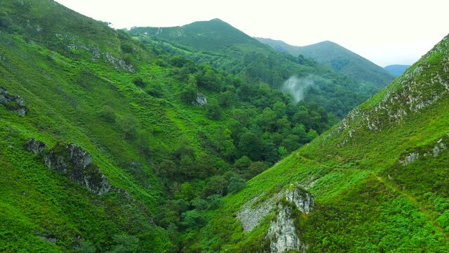 Deep gorge traced with a canopy of trees along the valley floor with steep shards of rock rising from the hillside and water vapour forming a cloud of moisture after rainfall.