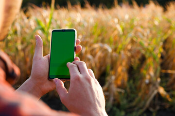Farmer in plaid shirt hold phone with green screen. Checking field. Modern technology. Agriculture...
