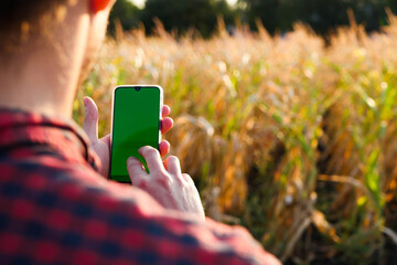 Farmer in plaid shirt hold phone with green screen. Checking field. Modern technology. Agriculture...