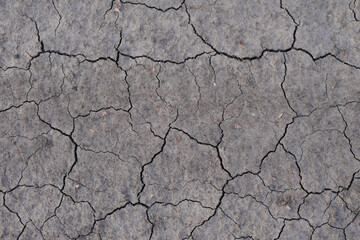 Fototapeta premium Cracked earth texture. Grey background. Damaged dry soil 