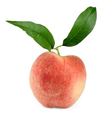 Peach isolated on a white background