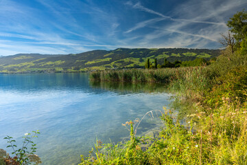 beautiful landscapes alomg the shores of the Upper Zurich Lake (Obersee), near Hurden, Seedam, Schwyz, Switzerland