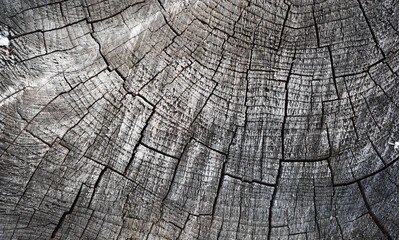 old wooden texture