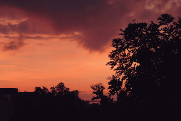 Sunset  and Tree