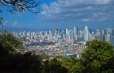 Panama city skyline with flowers