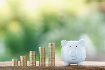 Piggy bank with the many stack gold coins with growth of value the benefit from dividends put on...