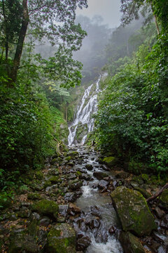 waterfall in the forest