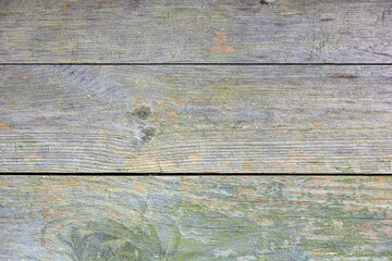 Old weathered planks with knots, scratches and moss. Wooden textured grunge background