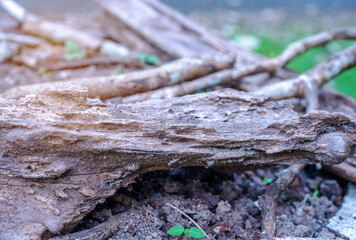 Rotten wooden blurred background