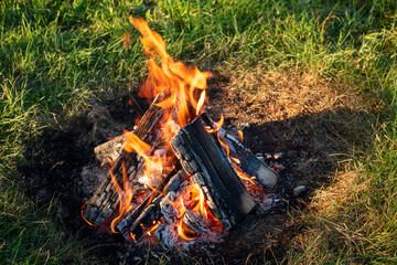 Beautiful flames of a bonfire outdoors on a sunset in summer. Circle of burned wood on nature;...