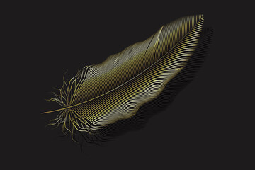Vecto gold feathers collection, set of different falling fluffy twirled feathers on a white background.