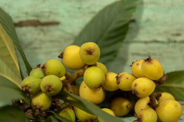 Medlar fruit (Eriobotrya japonica) on aged wooden background