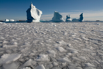 Icebergs, Greenland