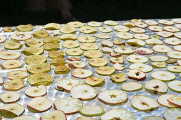 the process of drying apples and pears. harvesting of dried fruits for the winter
