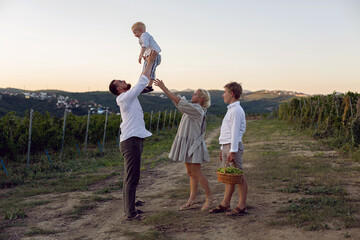 family with children, boys, stands in a grape field at sunset