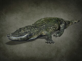 Predatory toothy crocodile. 3d illustration