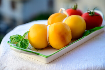 Cheese collection, Italian cheese scamorza made from cow milk in South Italy, white and yellow smoked.