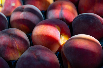 New harvest of big sweet ripe nectarines peaches