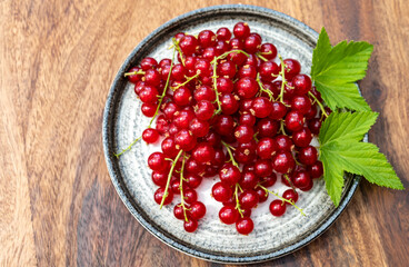 Ripe healthy antioxidant red currant berries
