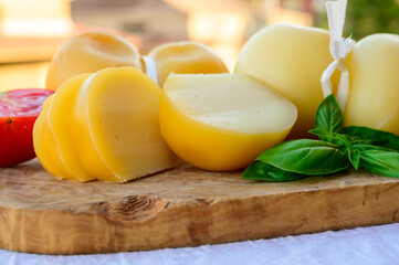 Cheese collection, Italian cheese scamorza made from cow milk in South Italy, white and yellow smoked.