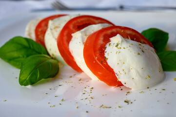 Caprese salad made with fresh soft white italian cheese mozzarella buffalo, green basil, red tomatoes and origano herb