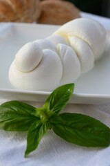 Fresh soft white italian cheese braid mozzarella buffalo made from Italian buffalo's milk by pasta filata method