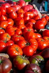 Assortment of french salad tomatoes, new harvest of big heirloom tomatoes  on market in Provence, France