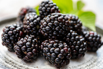 Ripe healthy antioxidant black currant or bramble berries