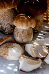 King of edible mushrooms, boletus edulis porcini cepe ready to cook in pasta or ravioli