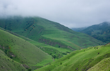 The Kurtatin Gorge in North Ossetia-Alania