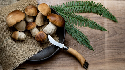 Fresh forest mushrooms /Boletus edulis (king bolete) / penny bun / cep / porcini and green fern on...
