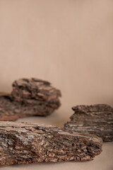 Minimal background for branding and product presentation. Spruce and pine bark as a podium for an object close-up and copy space.