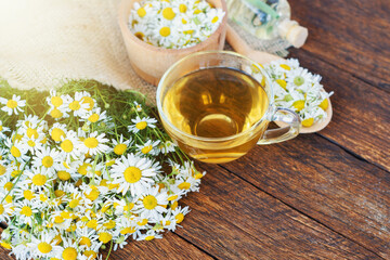 Obraz na płótnie Canvas cup of herbal chamomile tea and daisy flowers on white background doctor treatment and prevention of immune concept, medicine - folk, alternative, complementary, traditional medicine