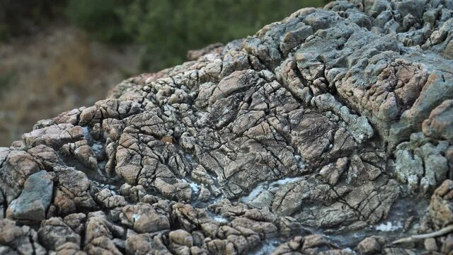 Macro Stone Granite Wall Slider Shot