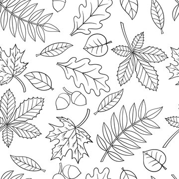 Seamless pattern with autumn leaves, coloring page