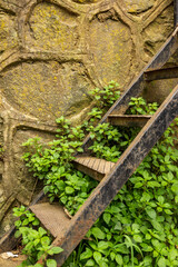 Old metal staircase between ivy